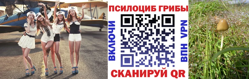 сколько стоит  Спасск-Рязанский  Галлюциногенные грибы GOLDEN TEACHER 