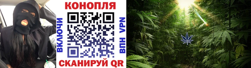 Каннабис индика  Спасск-Рязанский 